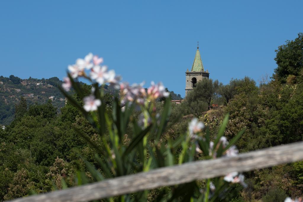 Sant'Angelo di Brolo Turismo Rurale Il Sole 빌라 외부 사진